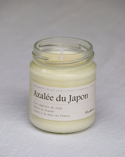 Azalée du japon