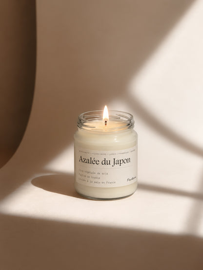 Azalée du japon